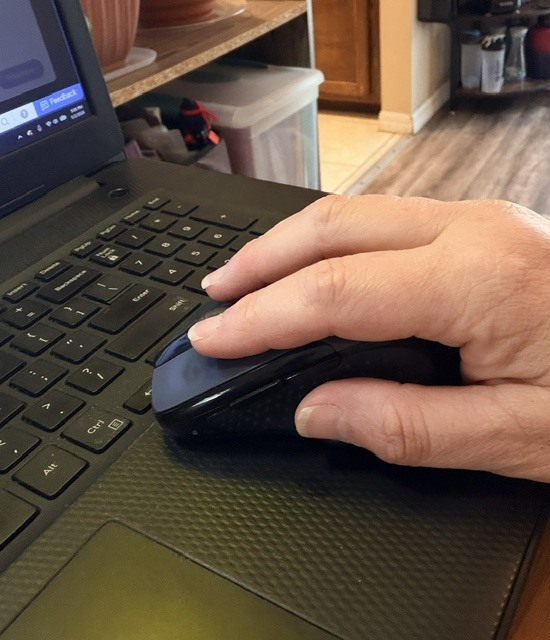 hand on a mouse with a laptop